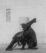 SHELTER - 2025 Annual Collection